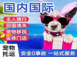 南昌昌北空运公司国际宠物托运 【国